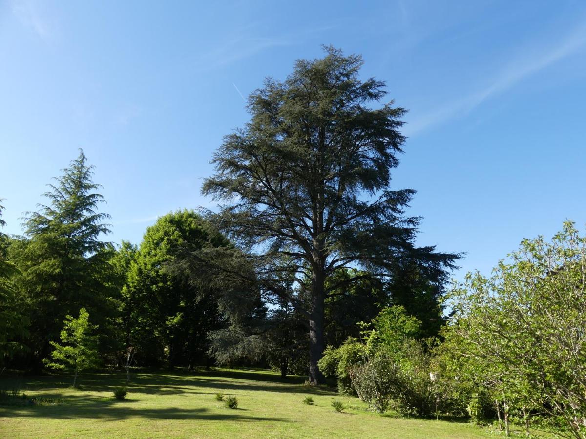 Le Petit Chateau - Adults Only Property Le Bugue Exteriér fotografie